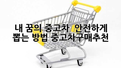 내 꿈의 중고차 ✨ 안전하게 뽑는 방법! #중고차구매추천